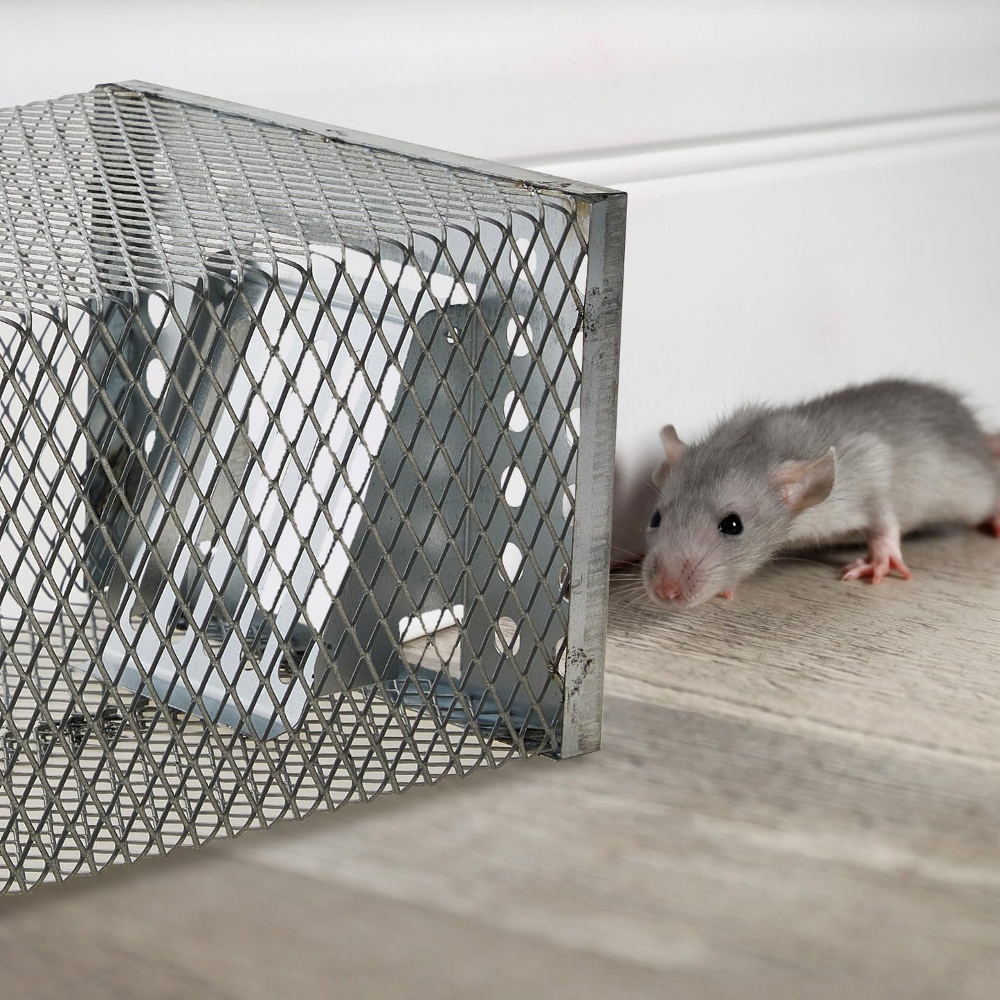 Humane Live Catch & Release Mouse Trap