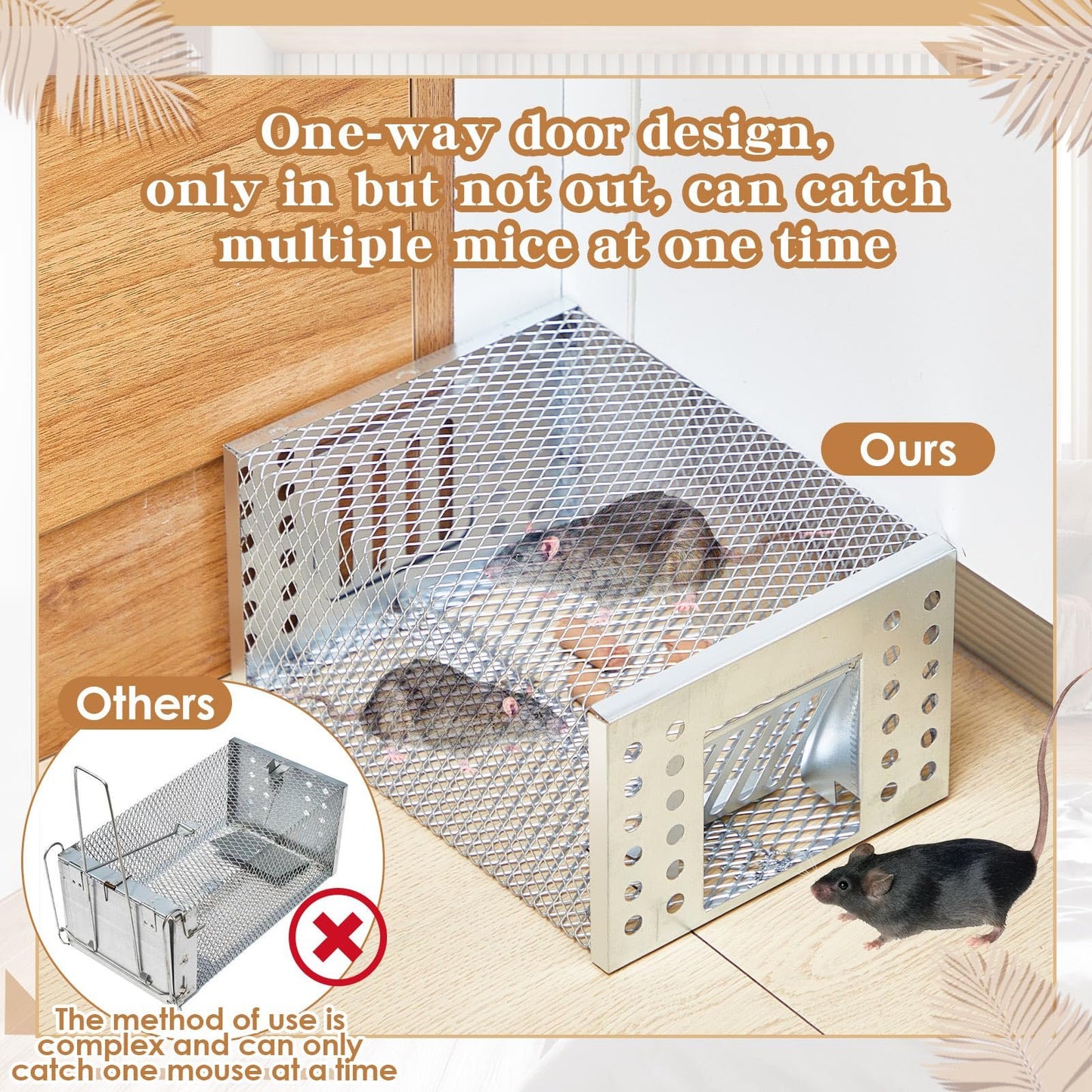 Humane Live Catch & Release Mouse Trap
