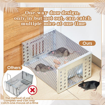 Humane Live Catch & Release Mouse Trap