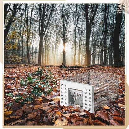 Humane Live Catch & Release Mouse Trap